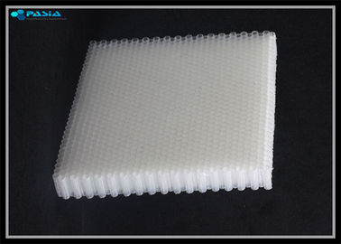 China Leitfähiger Grad-Polycarbonats-Wabenkern für Plastikbienenwaben-Platten fournisseur